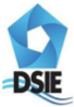 DSIE Logo words Registered